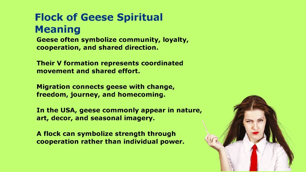 Flock of Geese Spiritual Meaning: Unity & Guidance