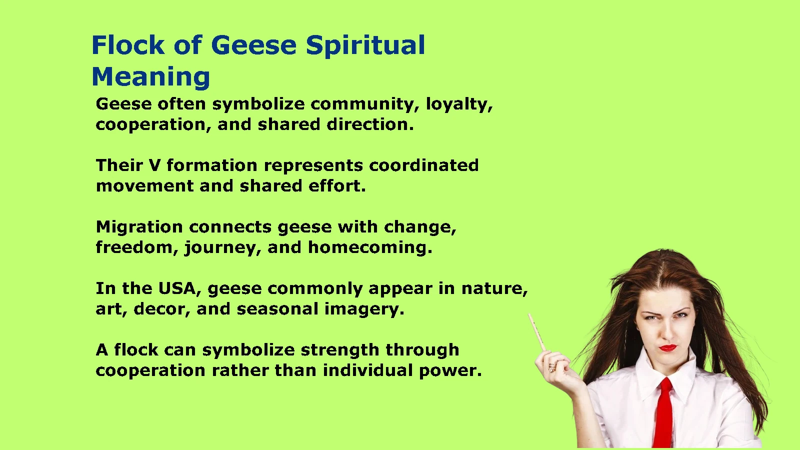 Flock of Geese Spiritual Meaning: Unity & Guidance