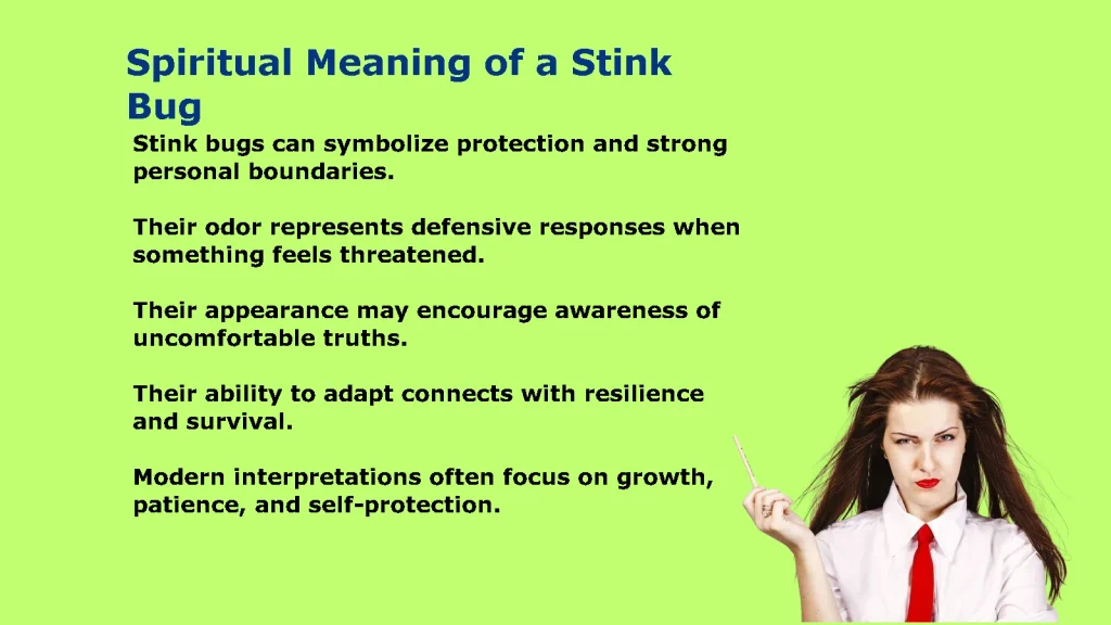 Spiritual Meaning of a Stink Bug: Symbolism and Messages