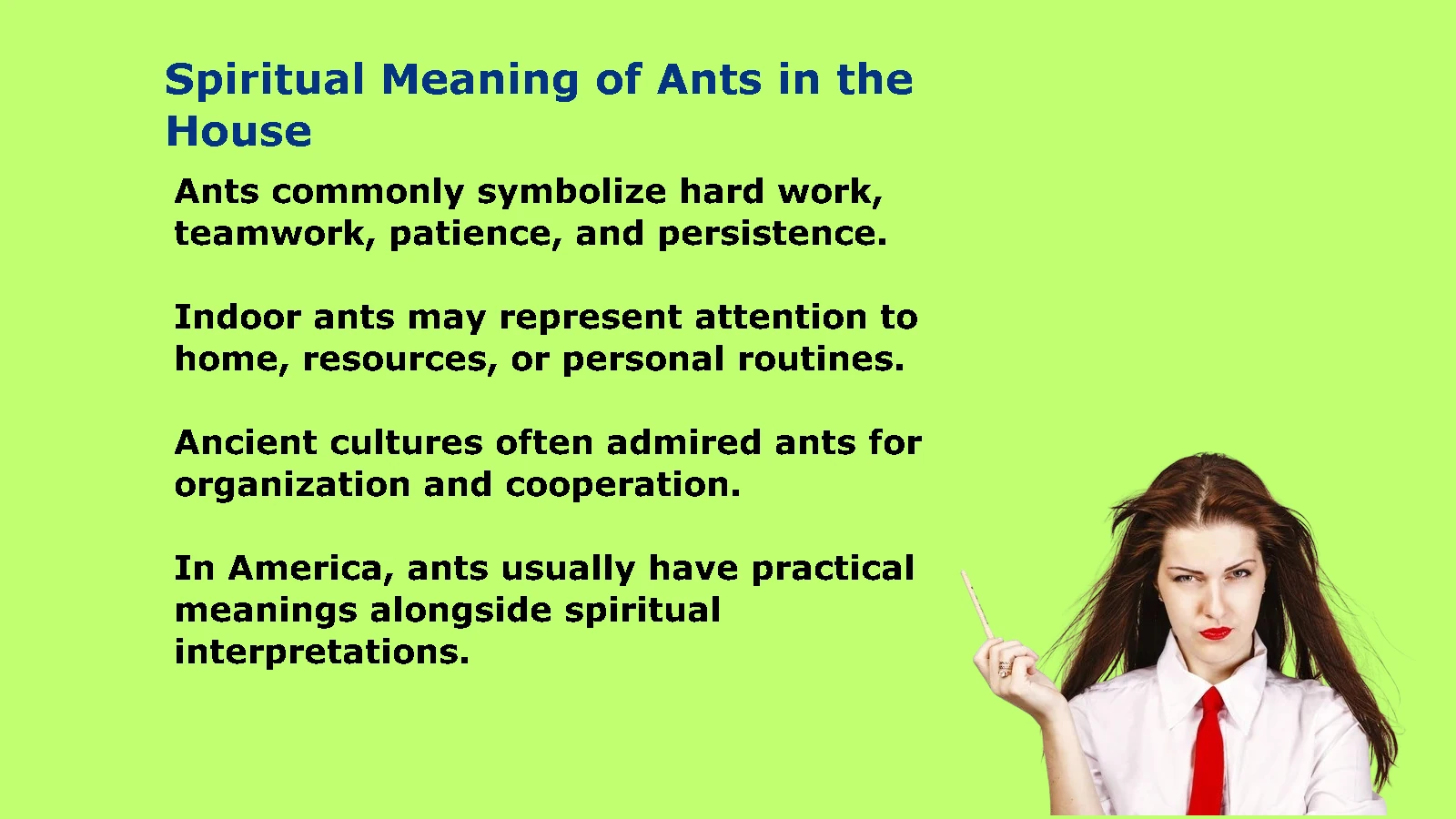 What Is the Spiritual Meaning of Ants in the House?
