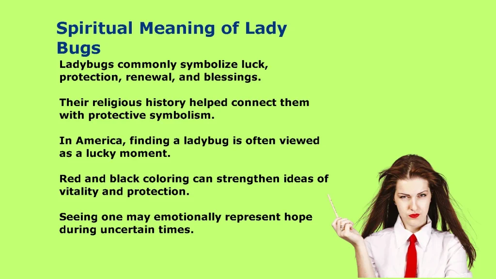 Spiritual Meaning of Ladybugs: Signs, Symbolism, and Messages