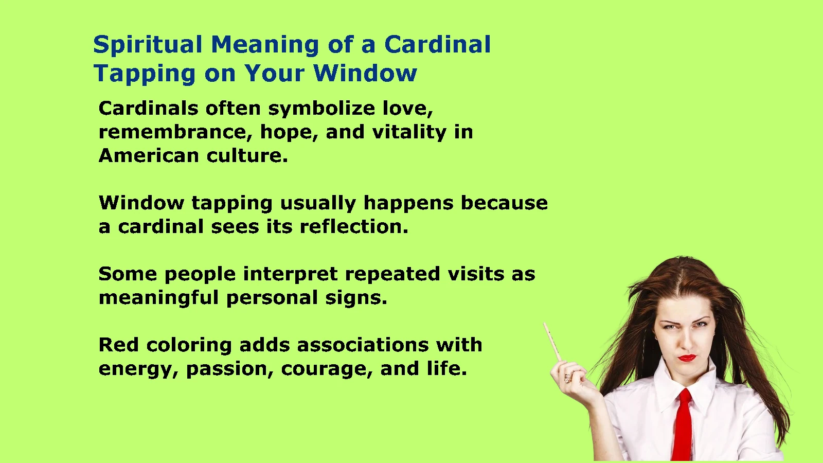Spiritual Meaning of a Cardinal Tapping on Your Window: A Spiritual Sign?