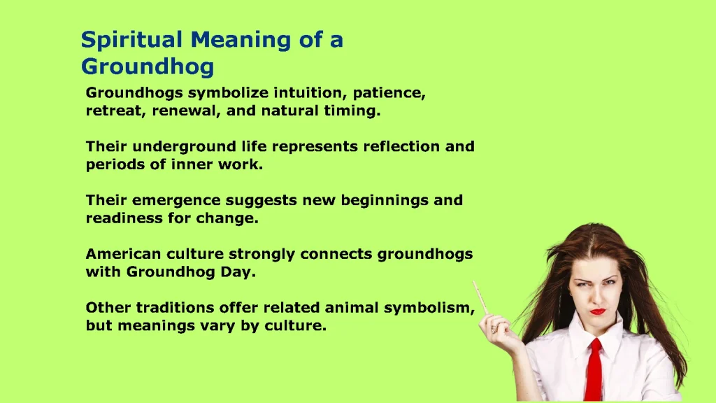 Spiritual Meaning of a Groundhog: Symbolism & Signs
