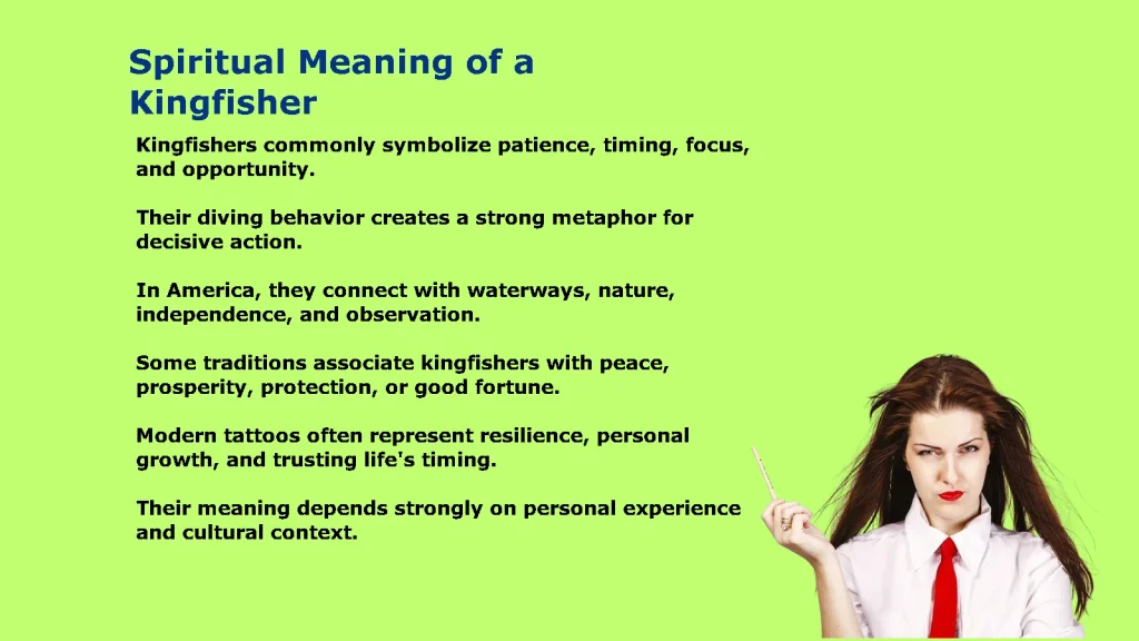 Spiritual Meaning of a Kingfisher: Symbolism and Signs