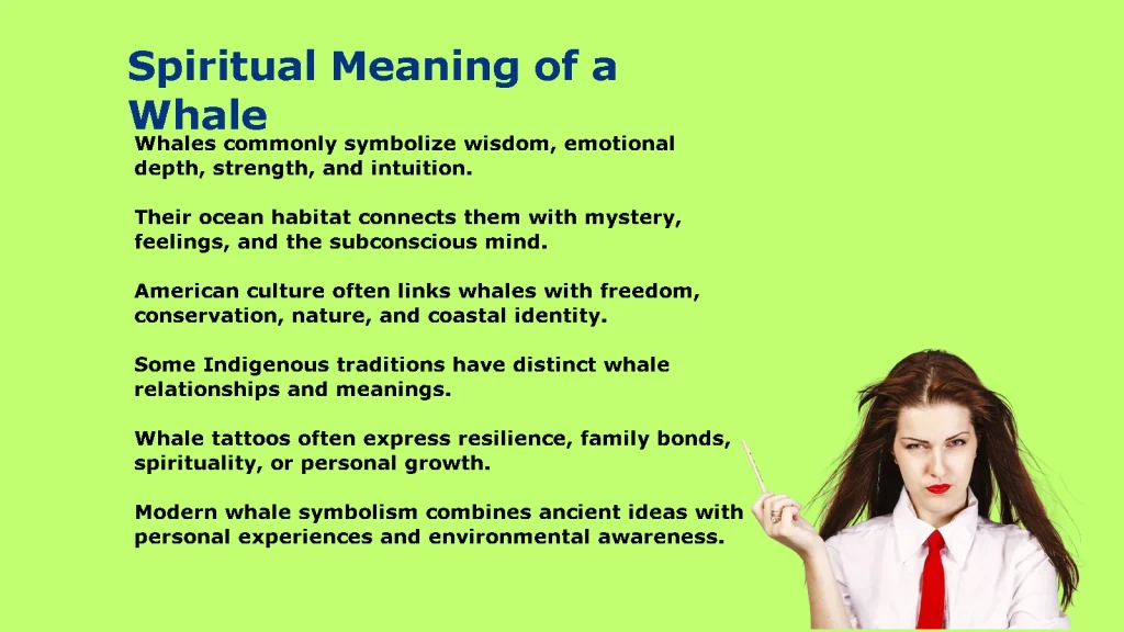 Spiritual Meaning of a Whale: Symbolism and Spiritual Signs