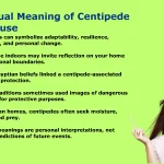 Spiritual Meaning of Centipedes in the House: 7 Powerful Signs