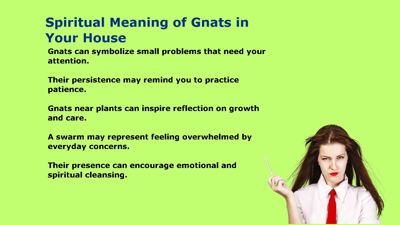 Spiritual Meaning of Gnats in Your House: Hidden Warnings and Lessons