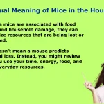 What Is the Spiritual Meaning of Mice in the House?