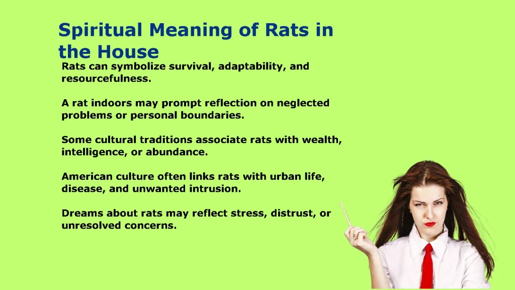 What Is the Spiritual Meaning of Rats in the House?