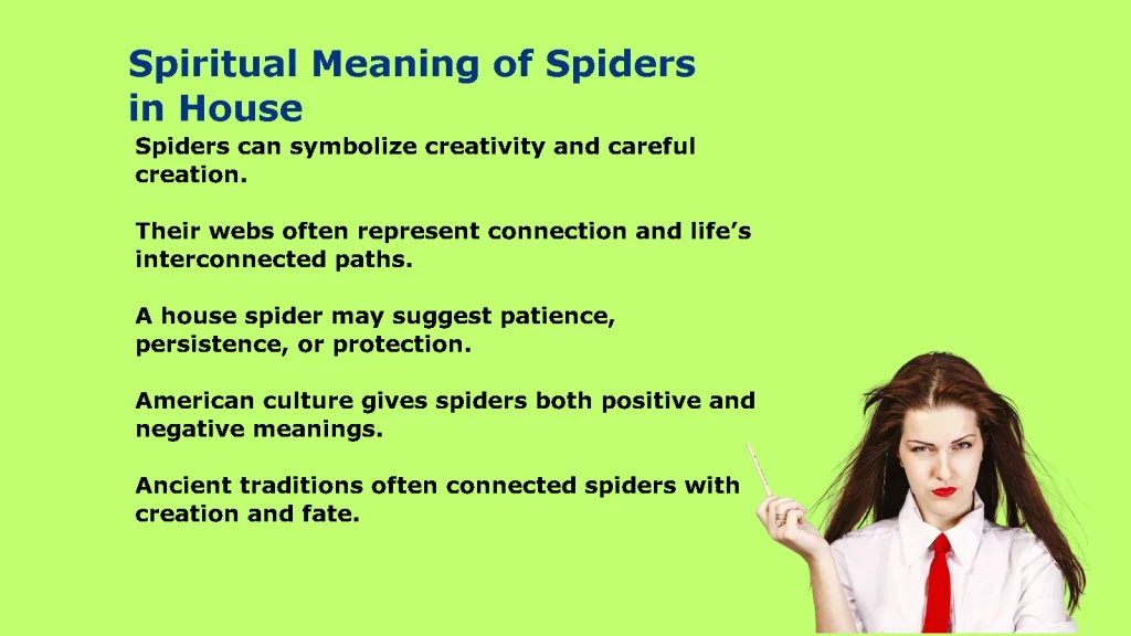 Spiritual Meaning of Spiders in House: What It Reveals