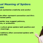 Spiritual Meaning of Spiders in House: What It Reveals