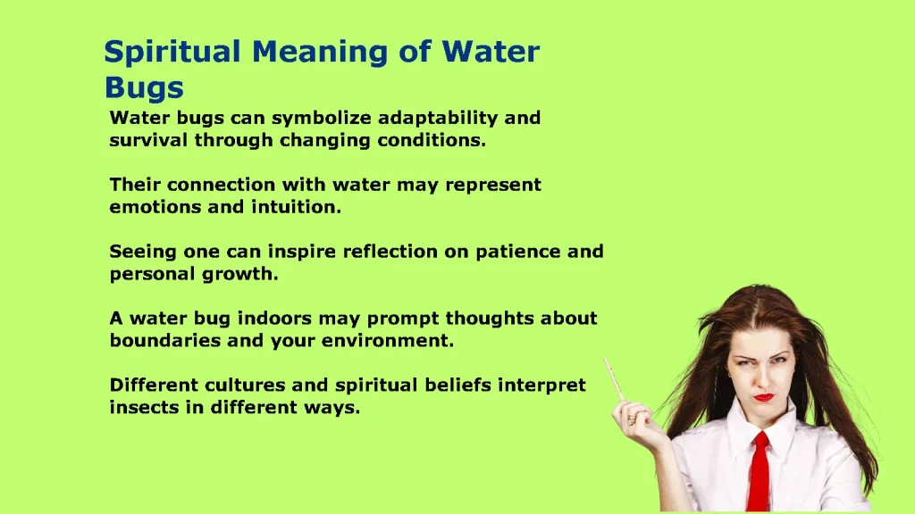 Spiritual Meaning of Water Bugs: Symbolism and Signs